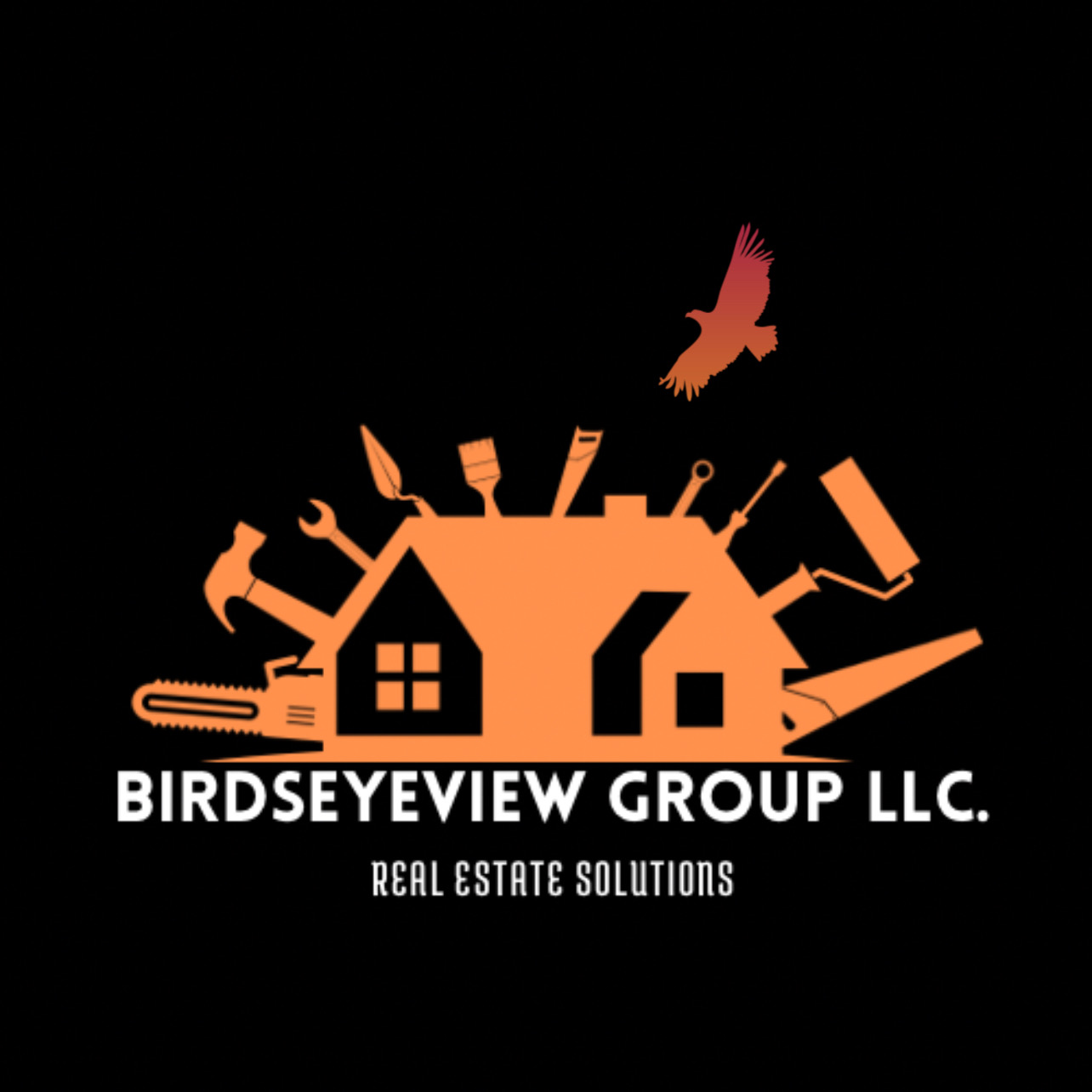 BirdsEyeView Group LLC Logo